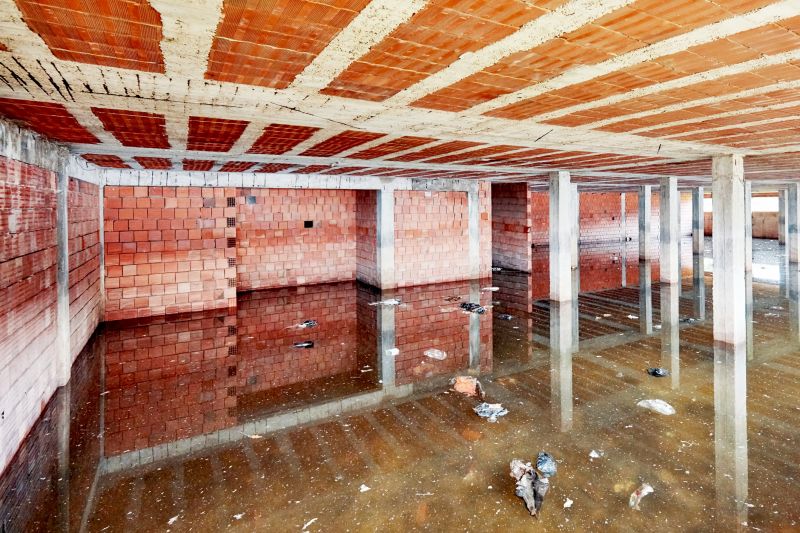 Crawl Space Water Remediation detail
