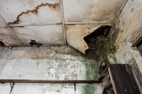 Water Damage Service in Fuquay Varina