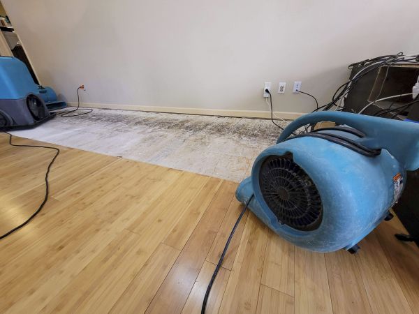 Water Damage Mitigation in Fuquay Varina