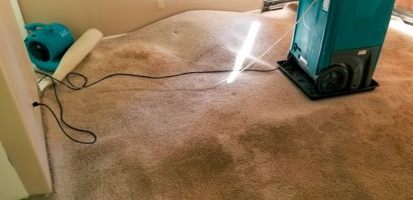 Carpet Water Extraction in Fuquay Varina