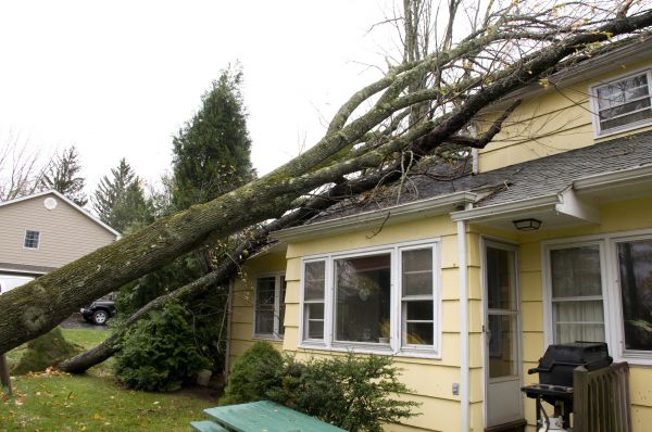 Hurricane Damage Repair in Fuquay Varina
